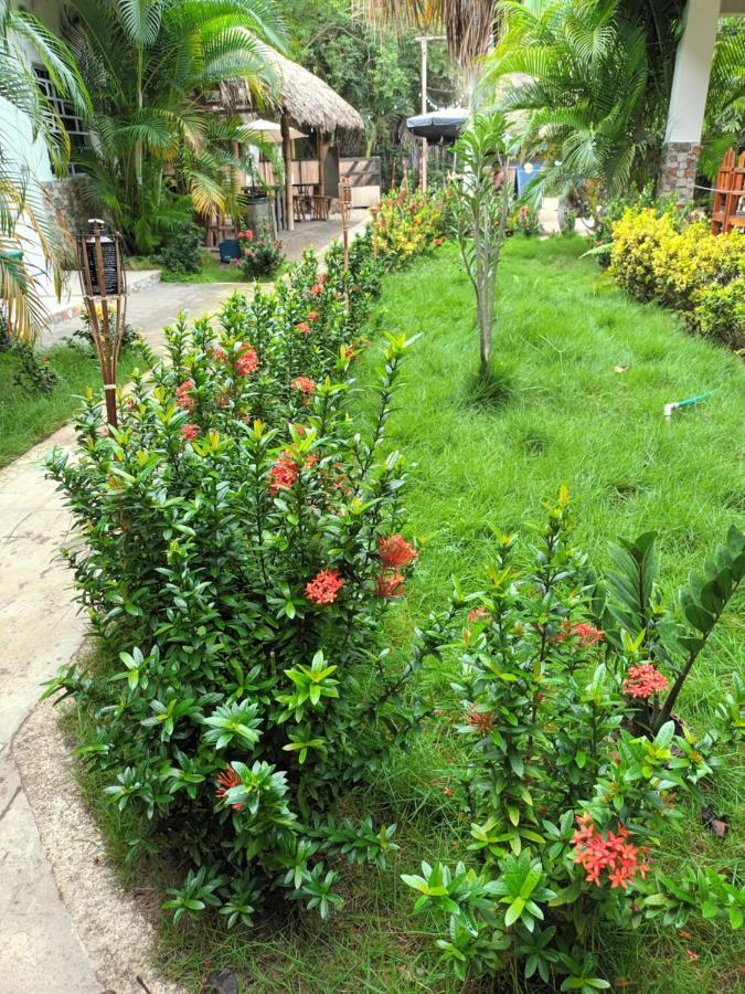 Hostal Cuyagua Palomino Dış mekan fotoğraf